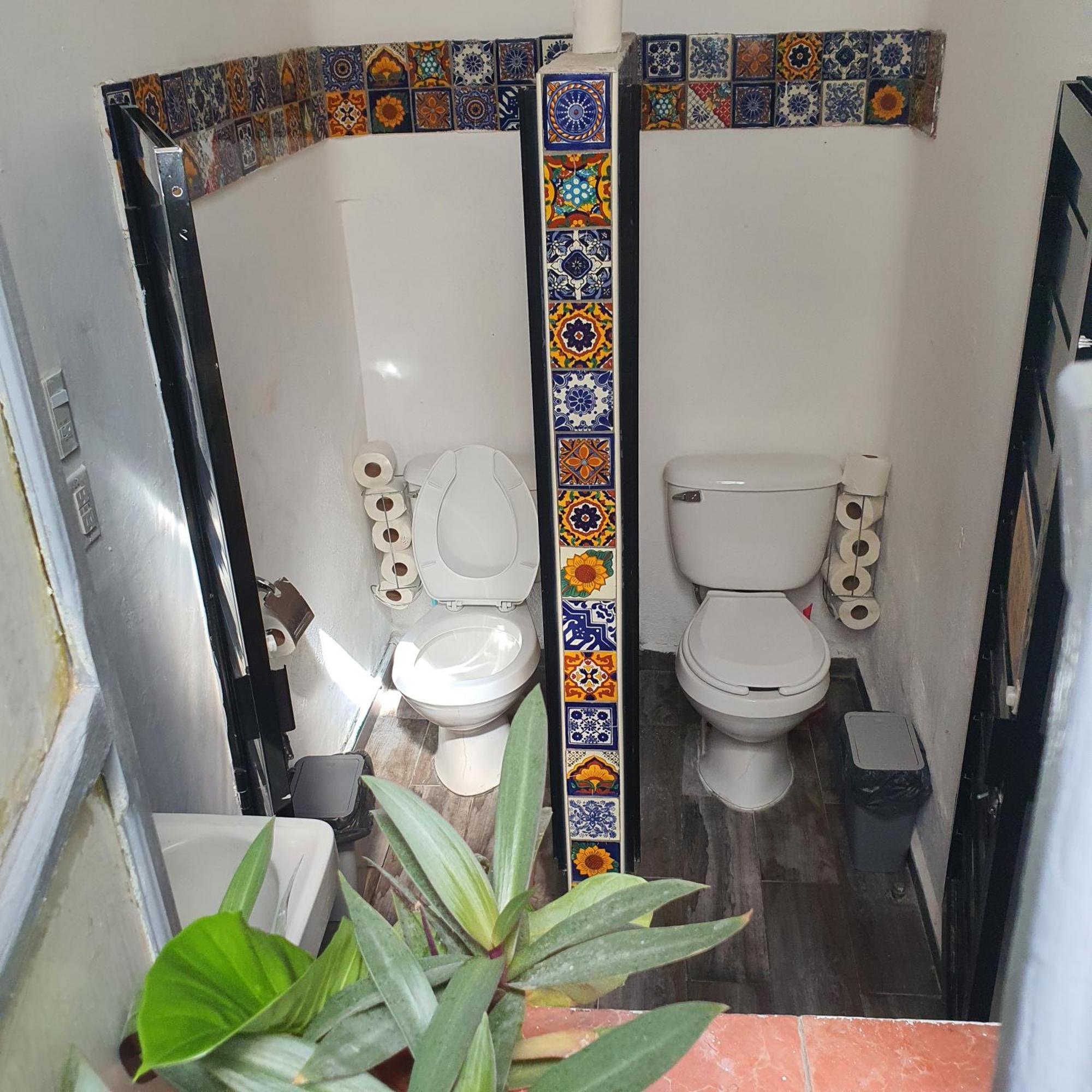 Sukha Hostel San Luis San Luis Potosí Eksteriør bilde